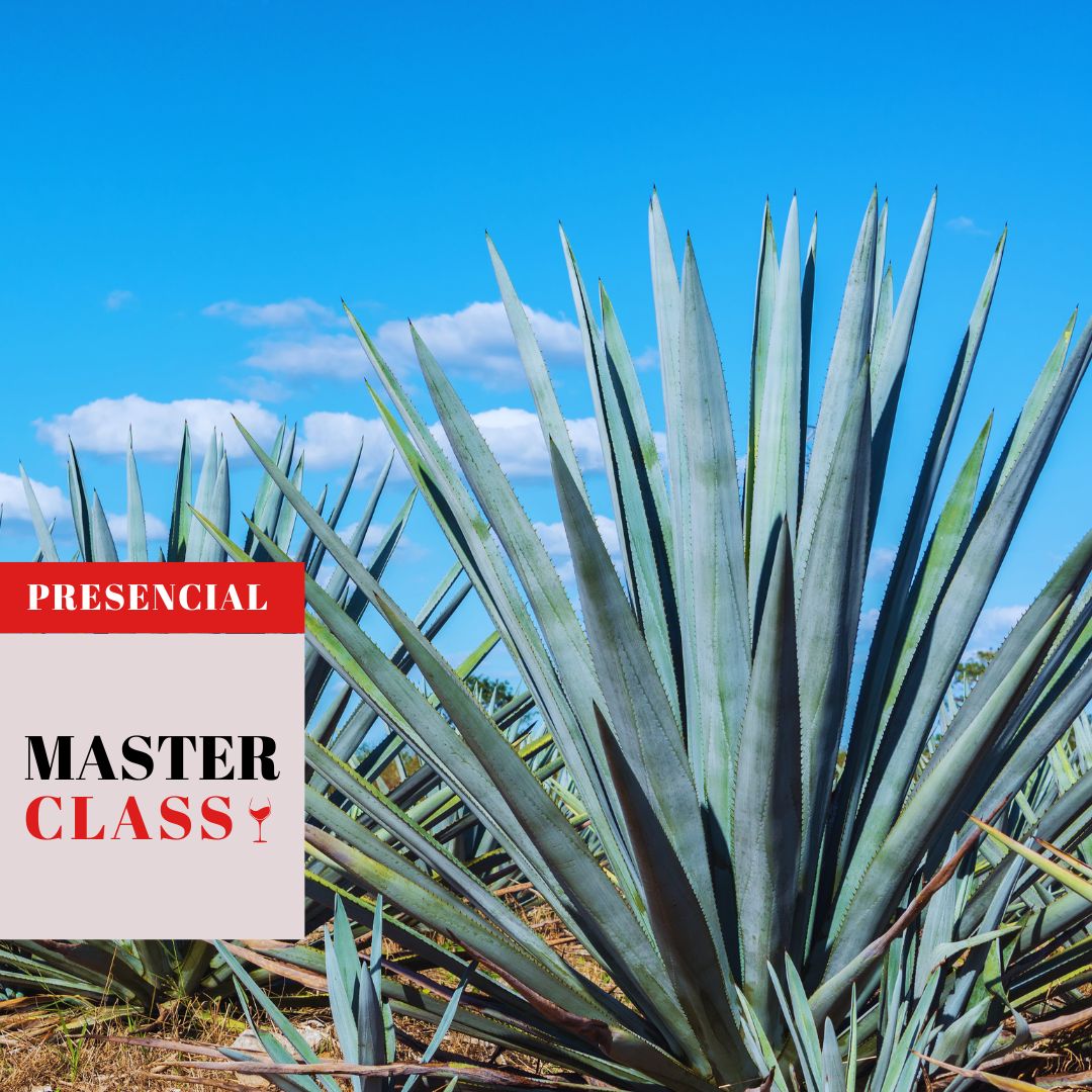Masterclass Agave Spirits: Tequila & Mezcal en Bogotá