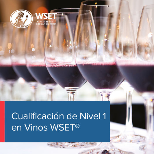 Curso Chile: Nivel 1 en vinos WSET®