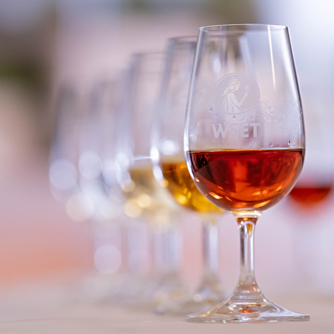 Set 6 copas de degustación vino ISO