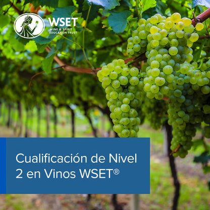 Curso Colombia: Nivel 2 en vinos WSET®